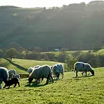 1 Bed In Sedbergh Oc-76535 Millthrop