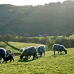 Σπίτι διακοπών 1 Bed In Sedbergh Oc-76535 *