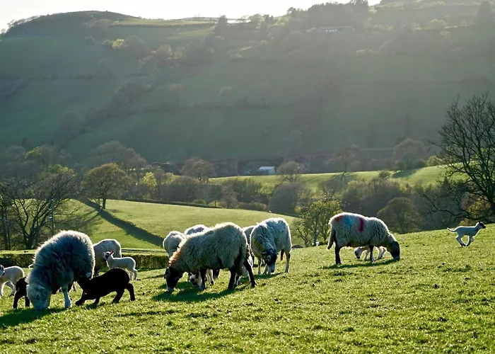 1 Bed In Marthwaite 76535 Millthrop